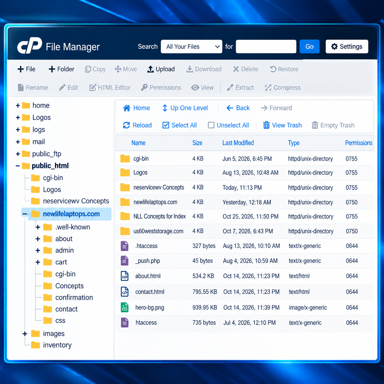 Website & Hosting